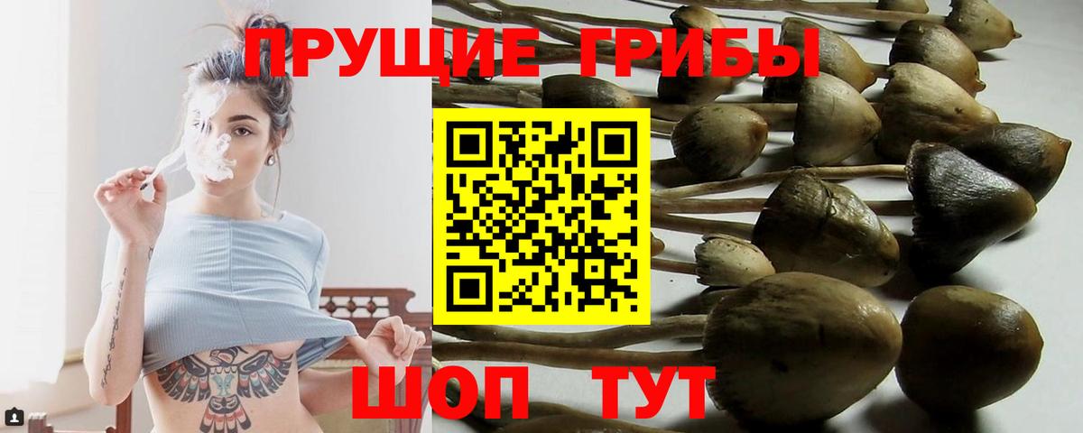 Псилоцибиновые грибы Psilocybe Маркс