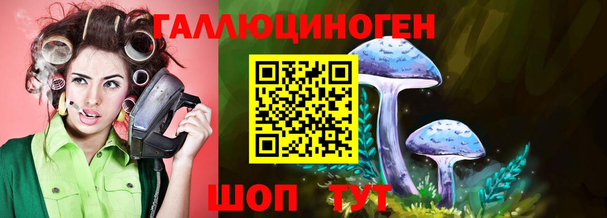 Галлюциногенные грибы Psilocybe Маркс